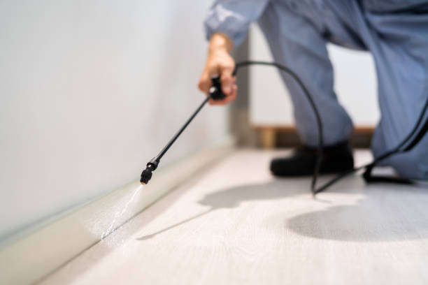 Bed Bug Pre-Treatment Preparation Assessment in Wardsville