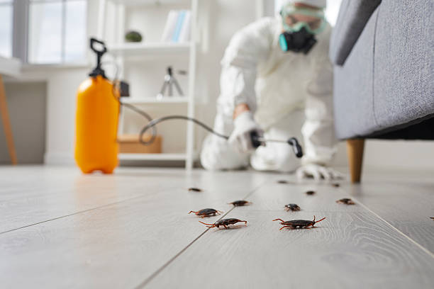 Post-Treatment Bed Bug Interceptor Monitoring in Wardsville