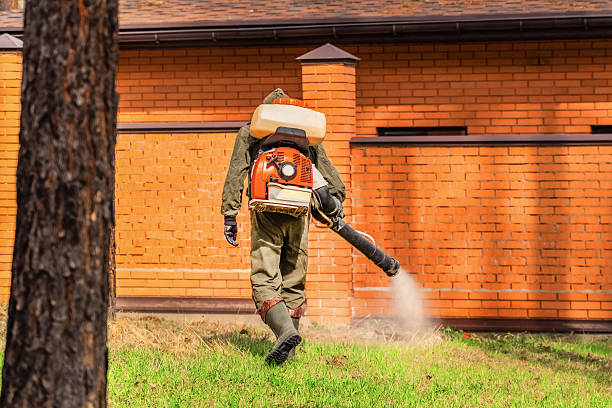 Bed Bug Clearance Verification and Documentation in Wardsville